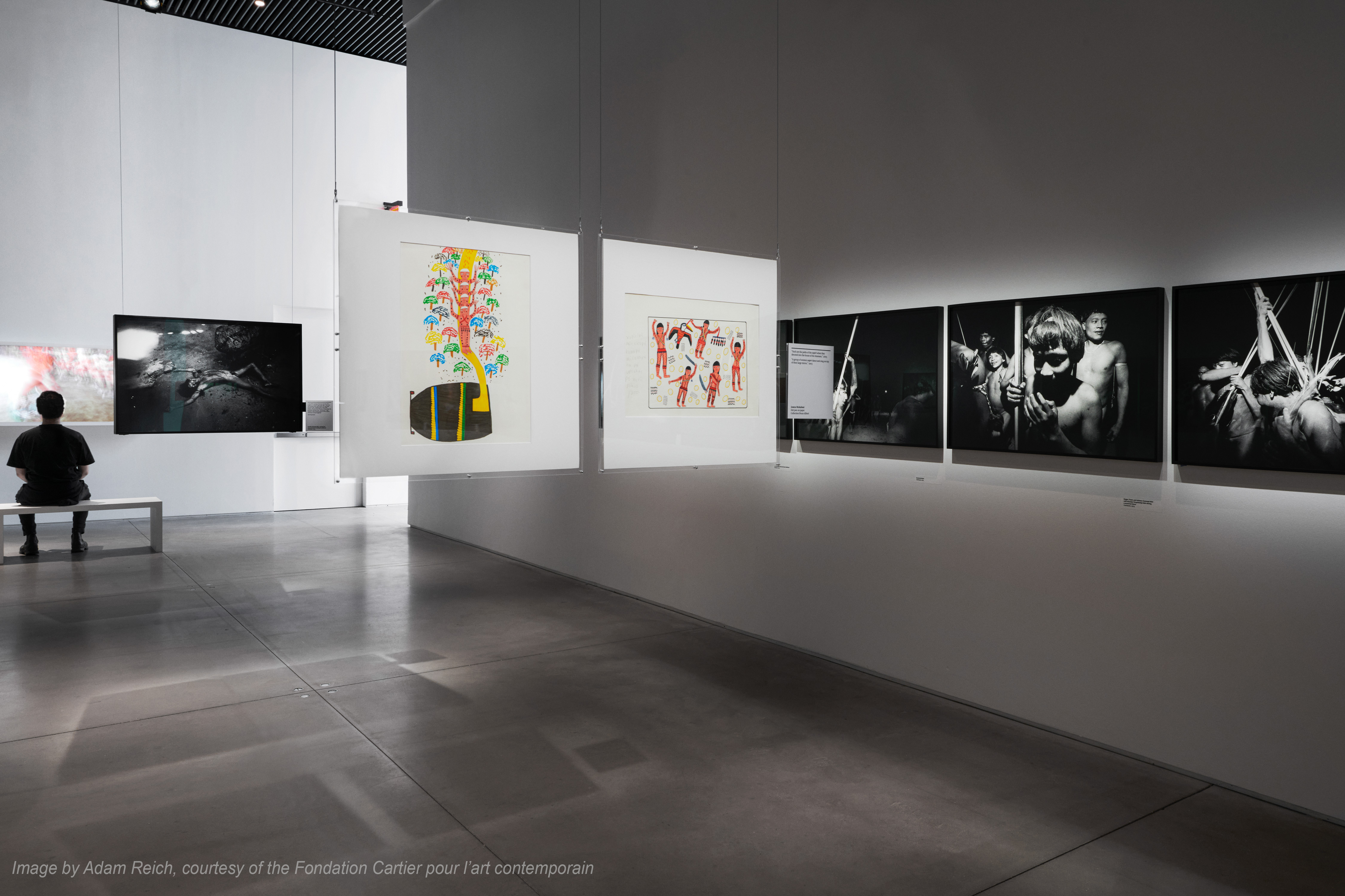 Cartier The Yanomami Struggle Integration And Design 11