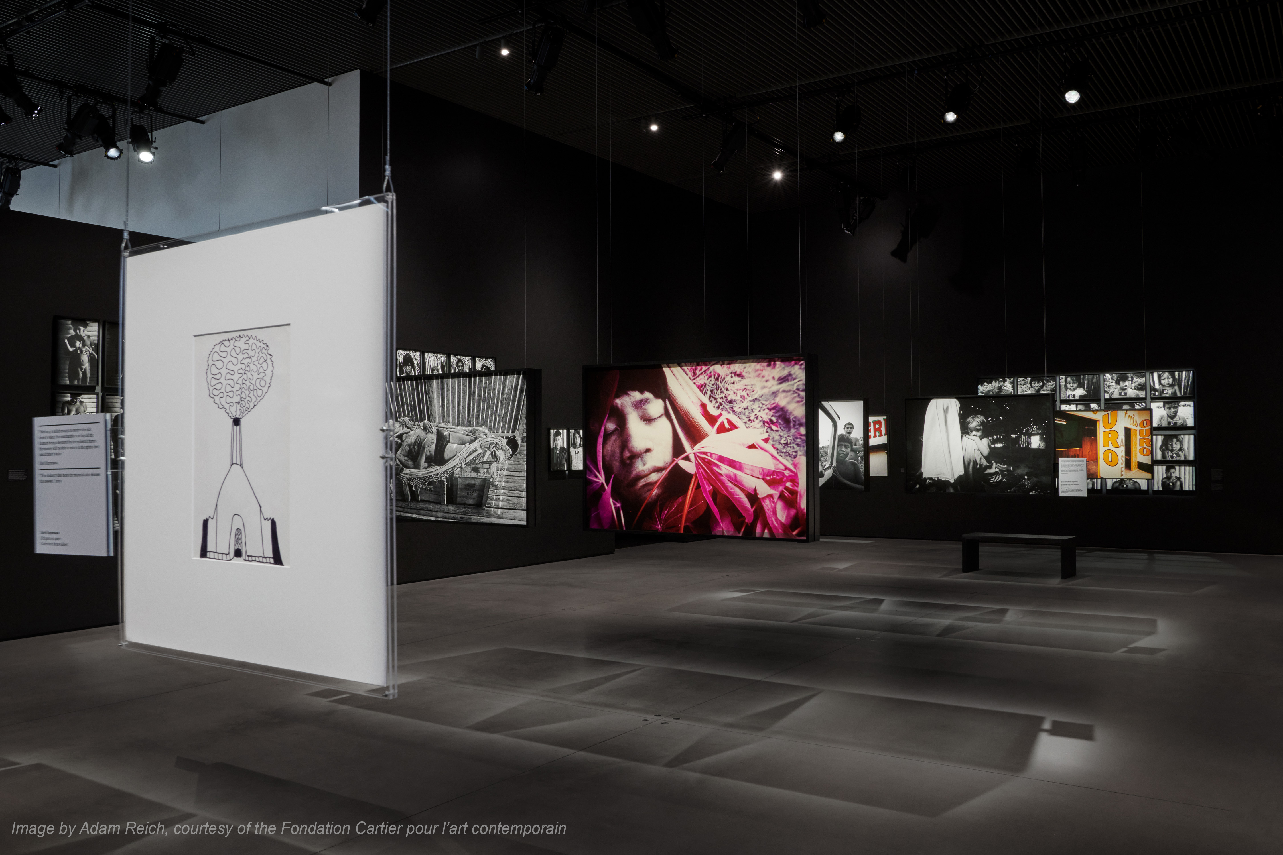 Cartier The Yanomami Struggle Integration And Design 12