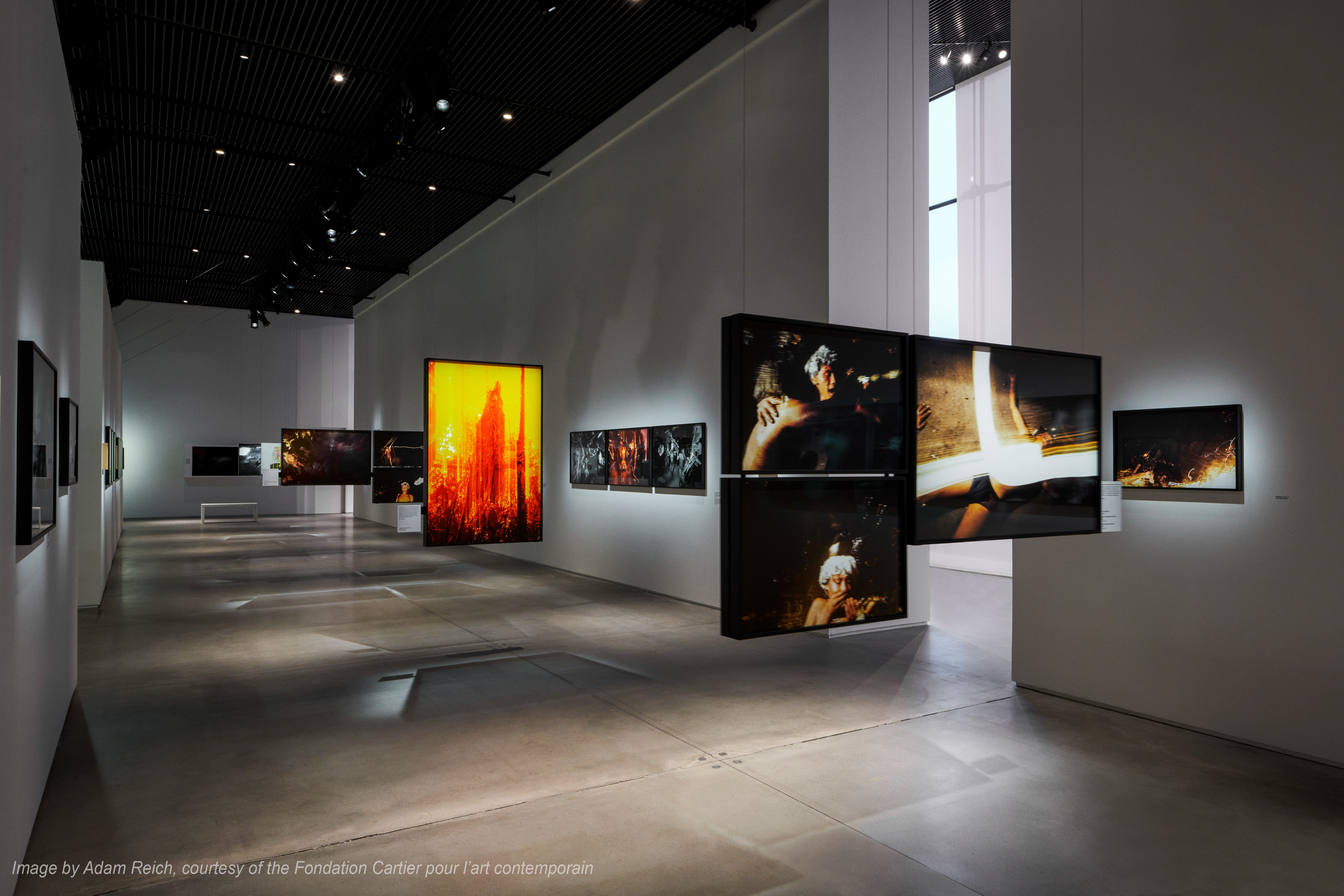 Cartier The Yanomami Struggle Integration And Design 3