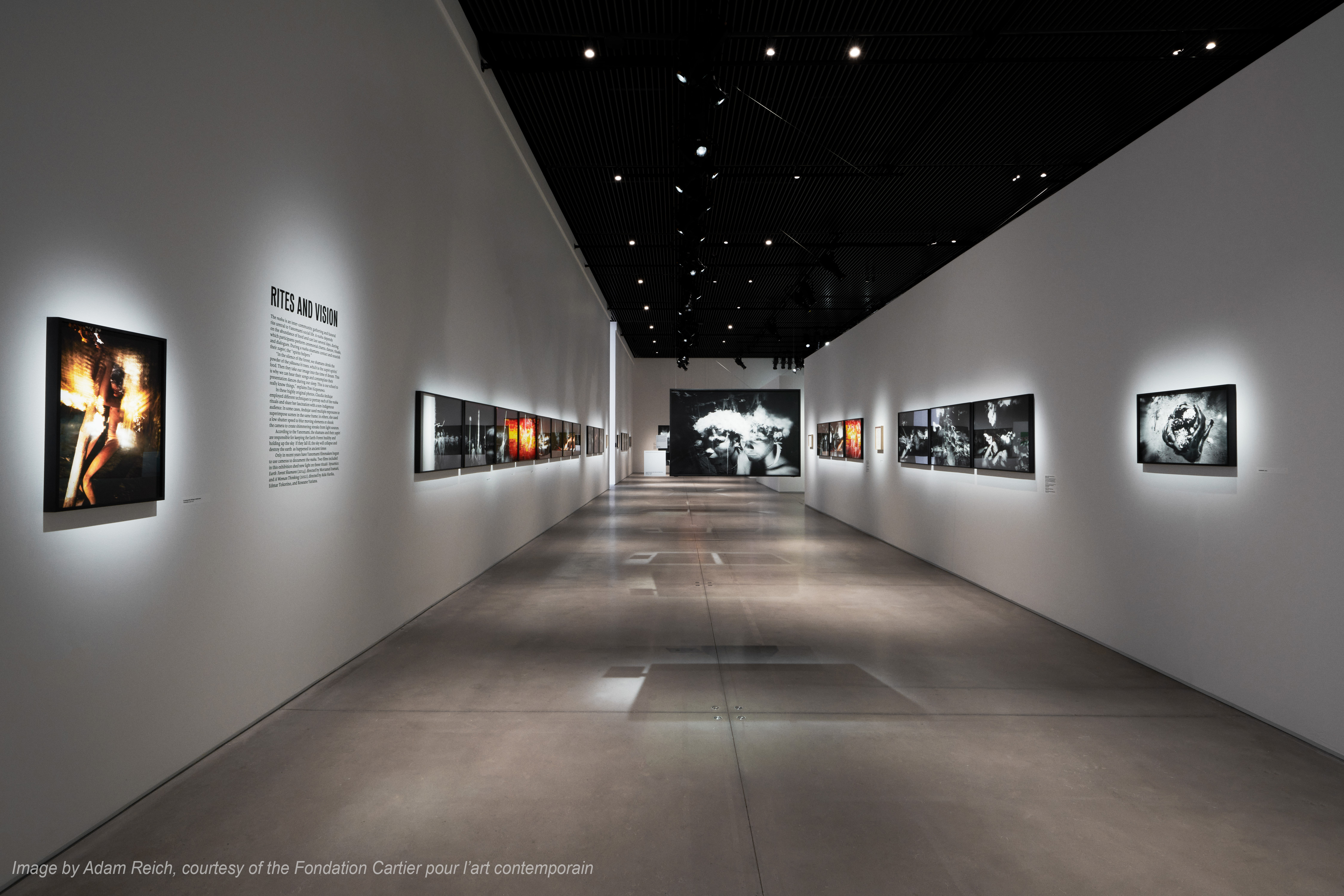 Cartier The Yanomami Struggle Integration And Design 4