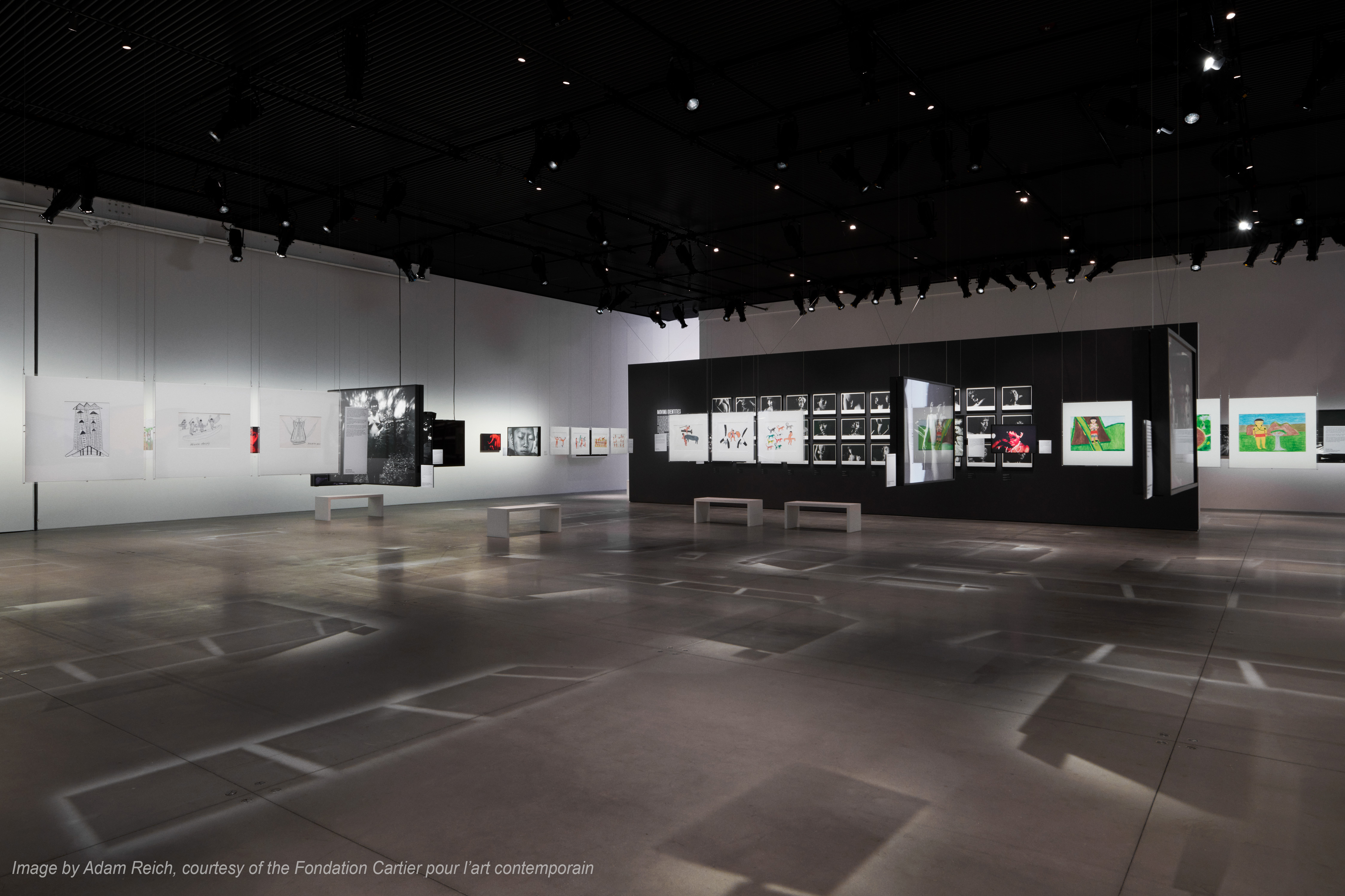 Cartier The Yanomami Struggle Integration And Design 5