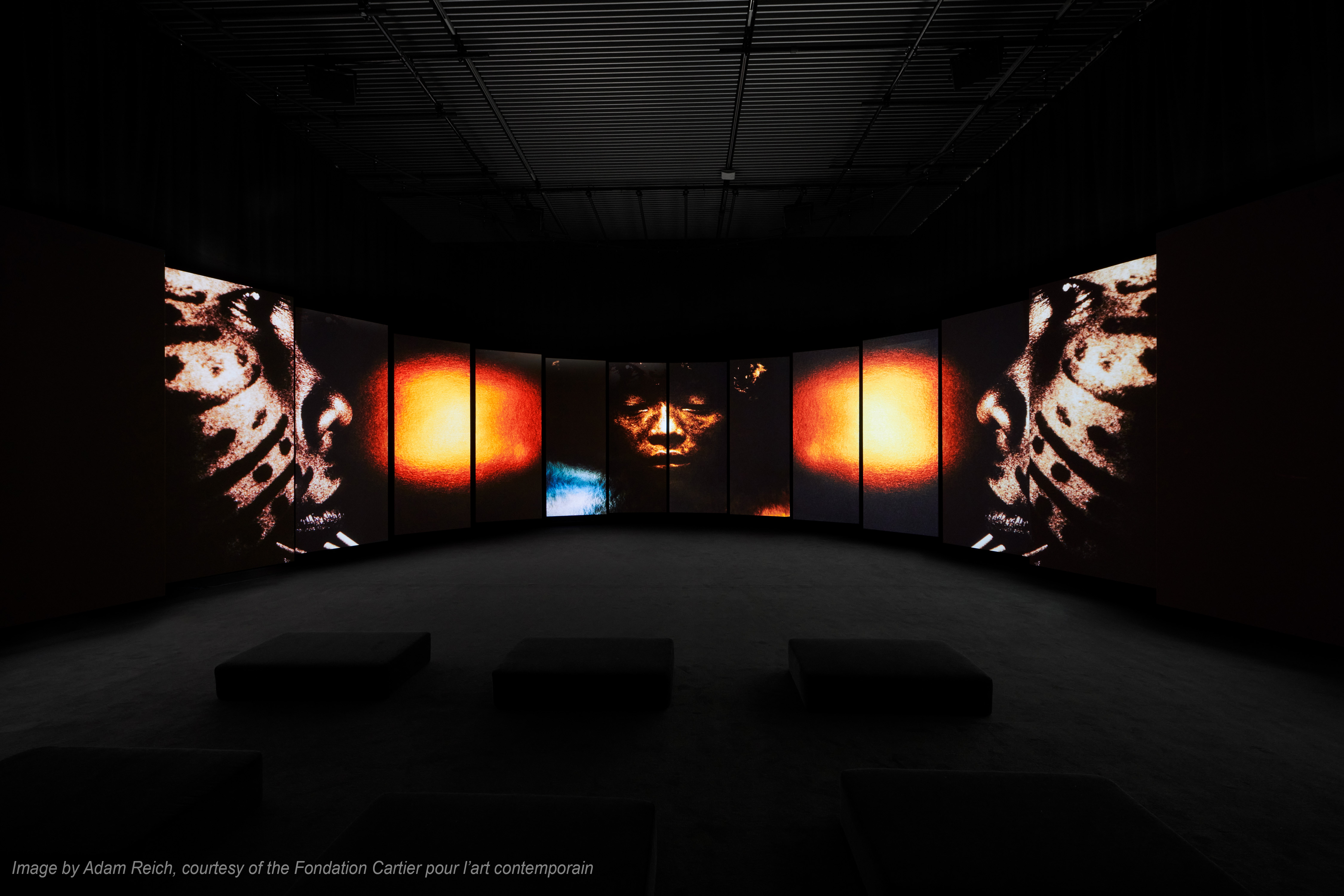 Cartier The Yanomami Struggle Integration And Design 7