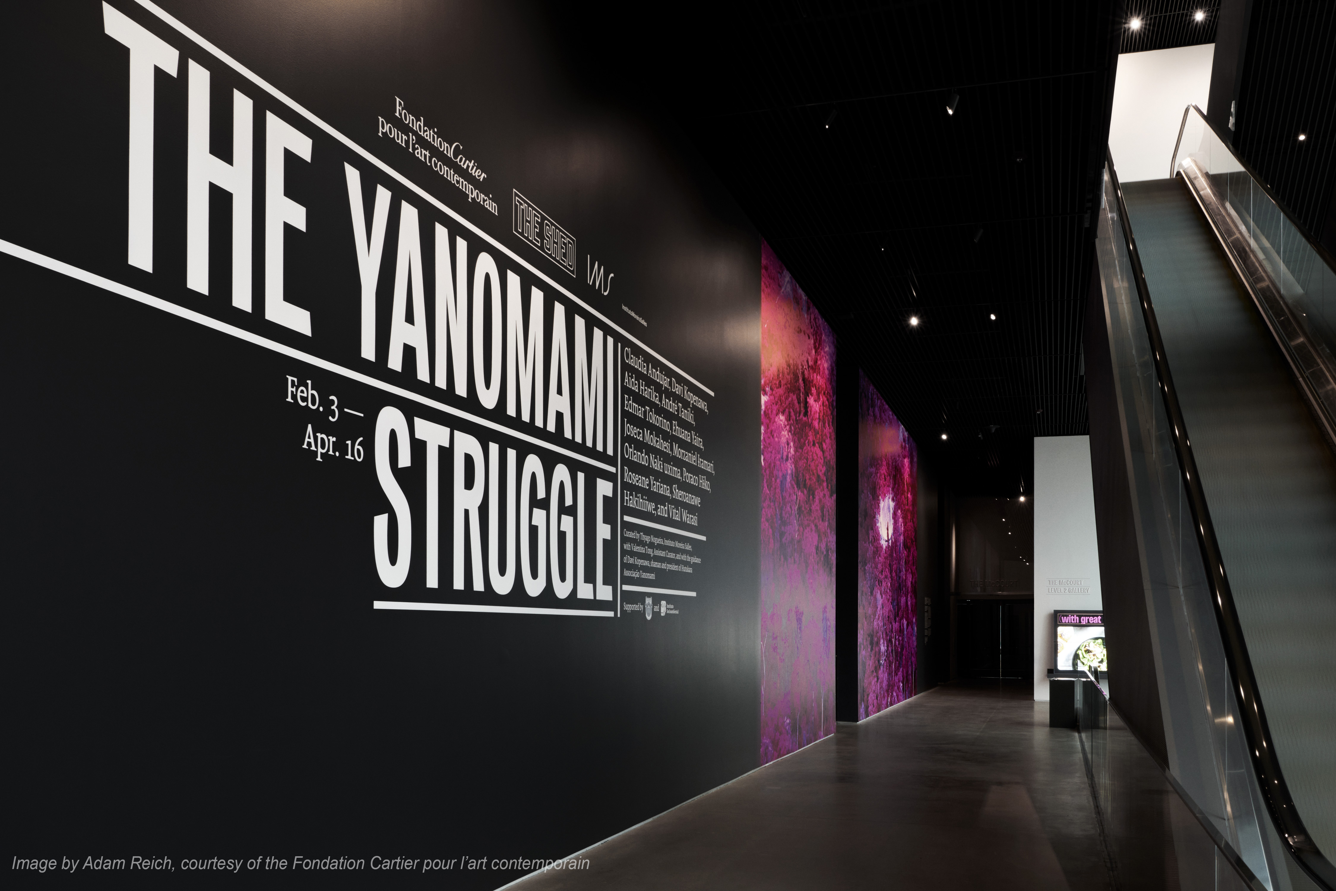 Cartier The Yanomami Struggle