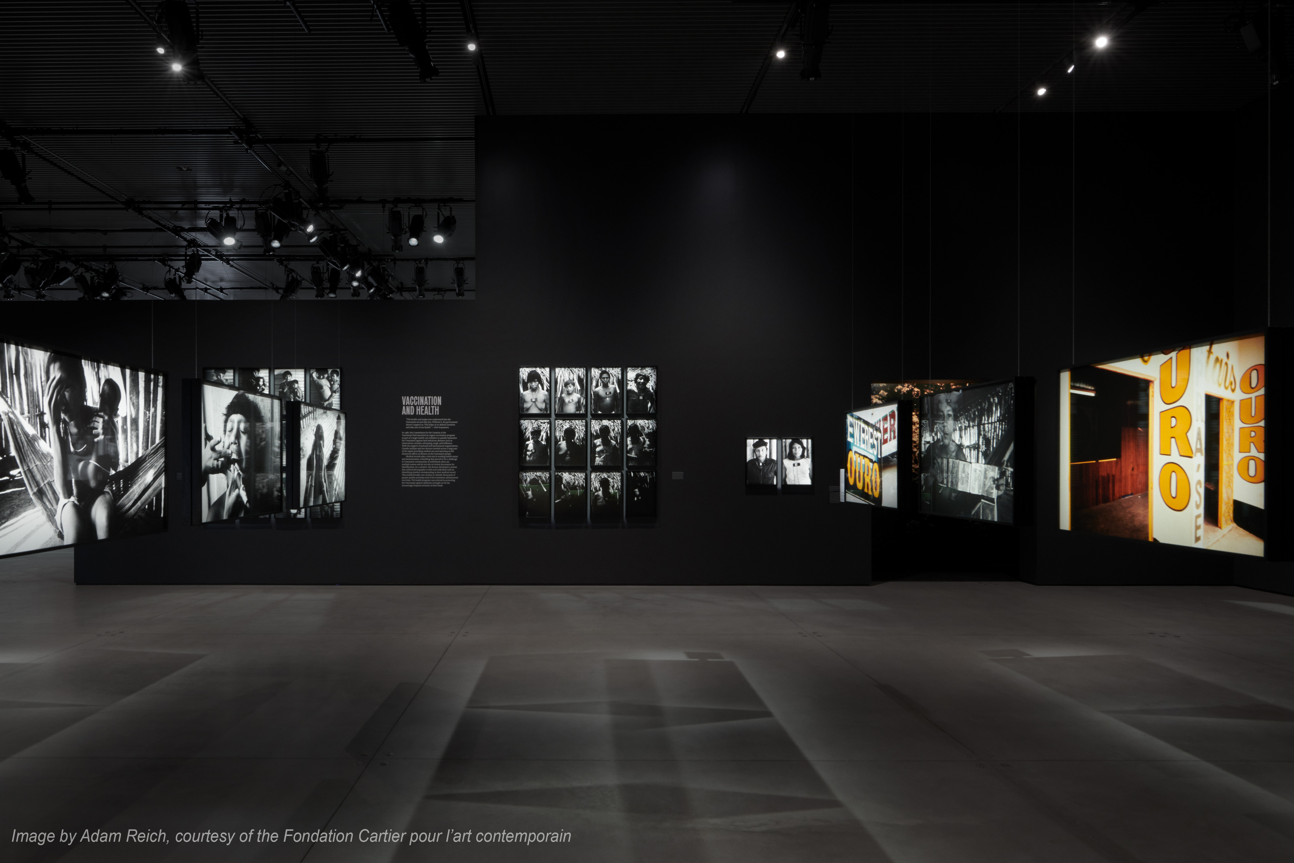 Cartier The Yanomami Struggle Integration And Design 9